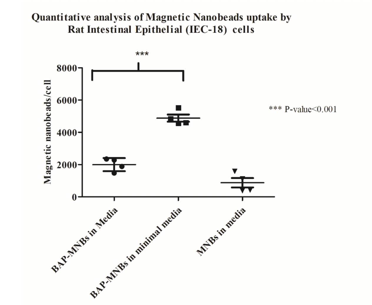 Quantitative analysis of Magnetic Nanobeads uptake by IEC-18 cells