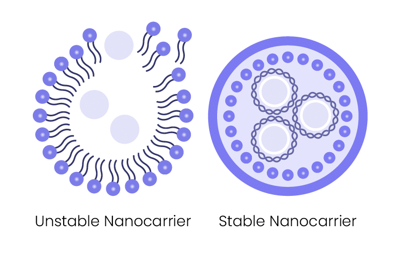 Unstable Nanocarrier Next to a Stable Nanocarrier