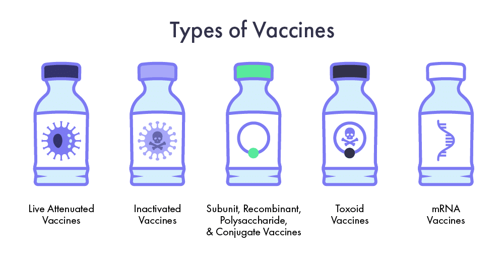 Different Types of Vaccines in Vials