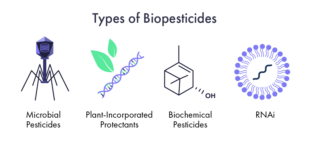 Types of Biopesticides